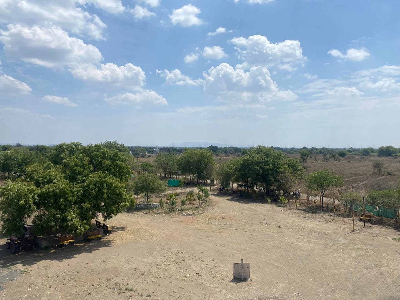 Campus grounds and trees